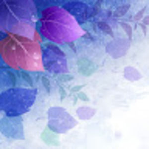 Meet your Posher, Jennaveve